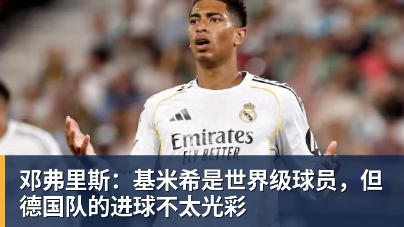 邓弗里斯：基米希是世界级球员，但德国队的进球不太光彩